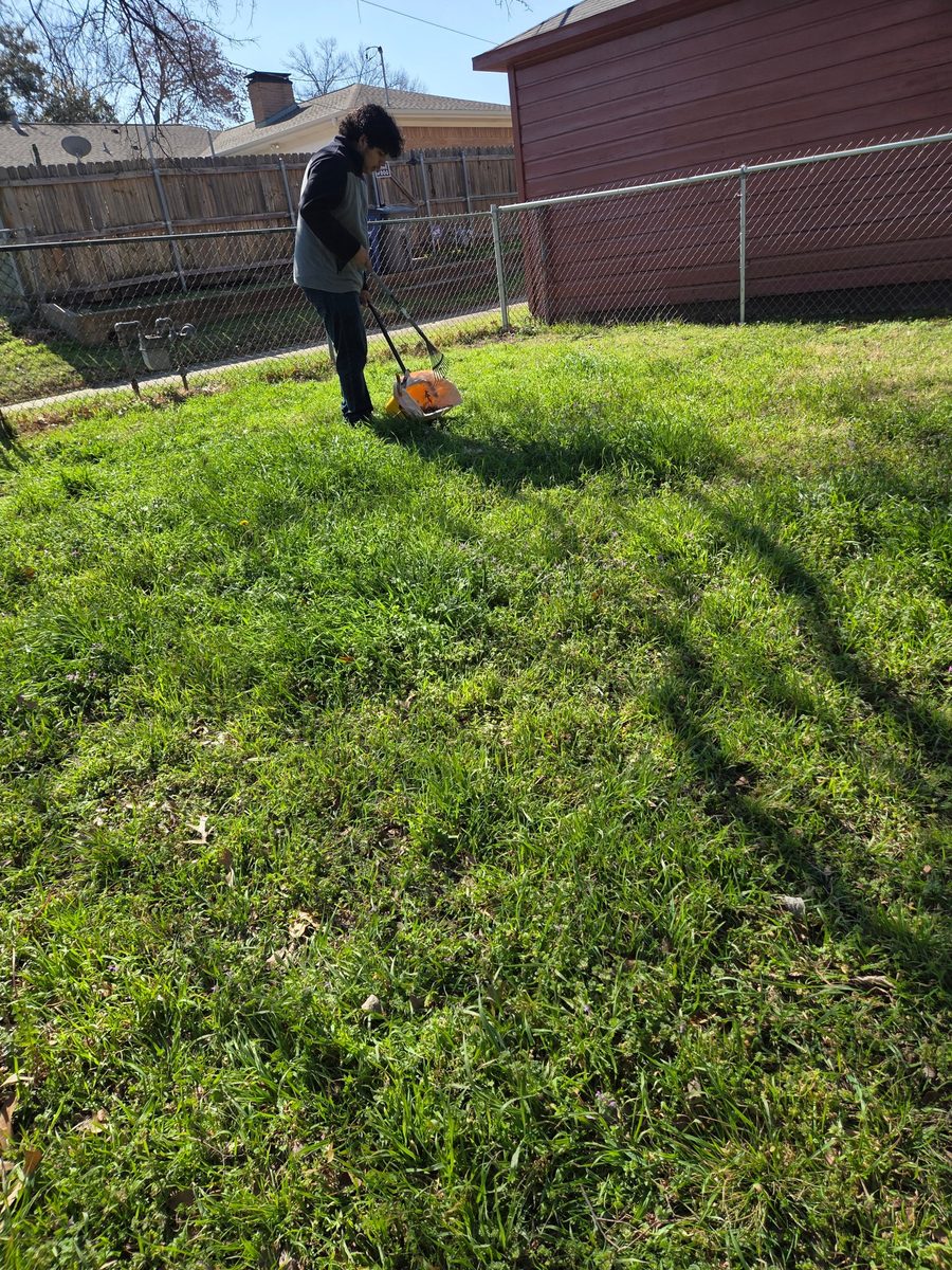 UrbanTail Cleanup technician scooping dog waste in a fenced East Dallas backyard
